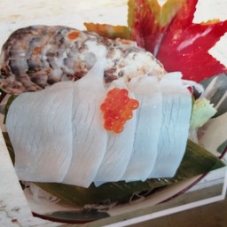 หมึกหิมะ อิกะ