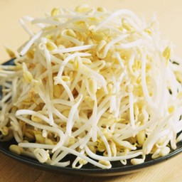 ถั่วงอก Bean sprouts