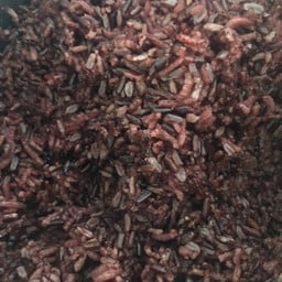 ข้าวไรร์เบอร์รี่