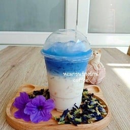 นมสดอัญชัน