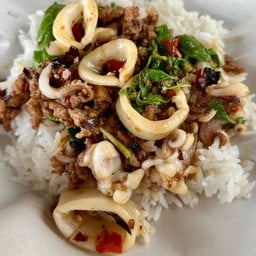 กะเพราหมูสับ ปลาหมึก
