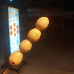 ไข่นกกะทาย่าง