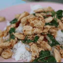 กระเพราไก่จ๋า