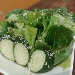 สลัดผักครอส