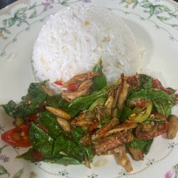 ข้าวราดกะเพราปู