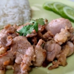 หมูกระเทียมพริกไทยราดข้าว