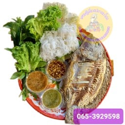 ปลานิลไซส์ XL