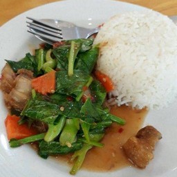 ข้าวคะน้า