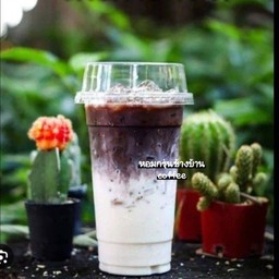 โกโก้นมสด