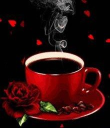 ลุงเบิร์ด ตามสั่ง