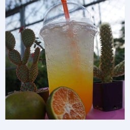 น้ำชามุกปั่น&ผลไม่ปั่น