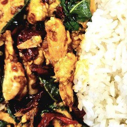 ผัดกะเพราไก่พริกแห้ง ราดข้าว