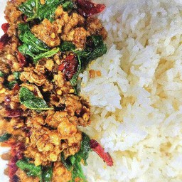 ผัดกะเพราหมูสับพริกแห้ง ราดข้าว