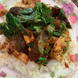 ผัดกระเพราไข่เยี่ยวม้า(ราดข้าว)