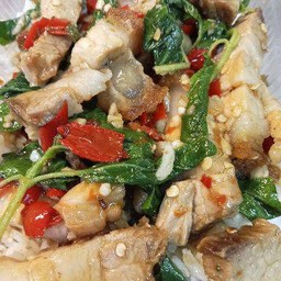 ข้าวกระเพราหมูกรอบ
