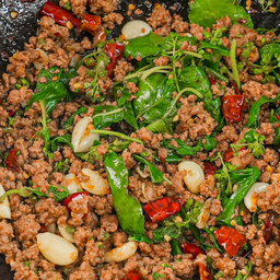 อาหารป่า อินดี้ เมือง