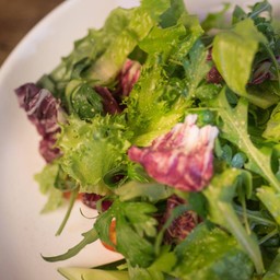 สลัดผักรวม