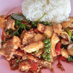 หมูป่า ราดข้าว