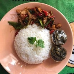 กระเพราชั้นสูง