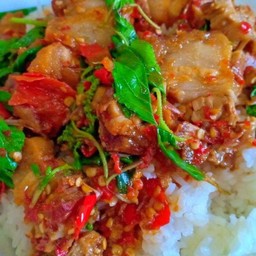 ข้าวกระเพราคอหมูย่าง