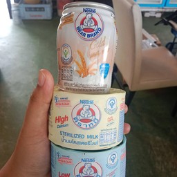 นมหมีปั่น