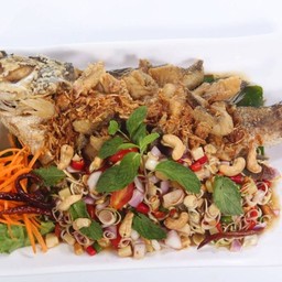 ปลากะพงลุยสวน