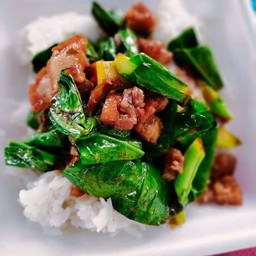 ป้าแอ๋วกะเพราพริกแห้ง