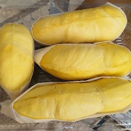 ทุเรียนหมอนทอง รับประกันคุณภาพ นิรันทร์หน้าตึกโอ