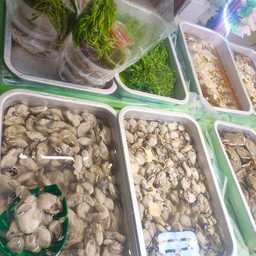 ยำหอยนางรม