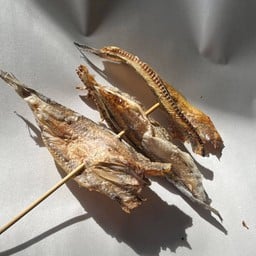 ปลาช่อนทะเลย่าง