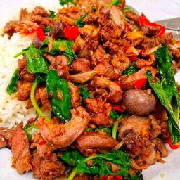 กะเพราเครื่องในไก่  ราดข้าว