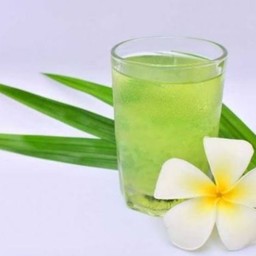 น้ำสมุนไพร ใบเตย