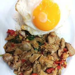 กระเพราเครื่องในไก่ ไข่ดาว