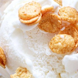 Gelato Hokkaido's white gem