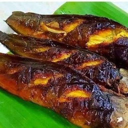 ปลาดุกย่าง