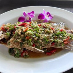 ปลากระพงราดพริกสด