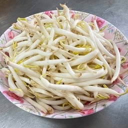 ถั่วงอก