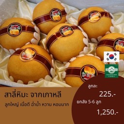 สาลี่หิมะ