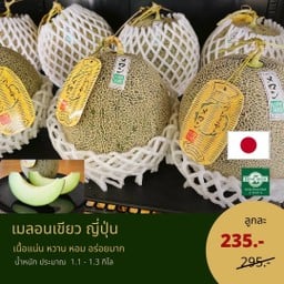 เมล่อนเขียว ญี่ปุ่น