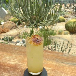 Refreshing Yuzu