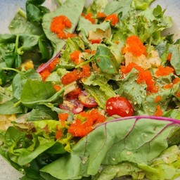 สลัดไอซ์แลนด์ไข่กุ้ง