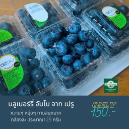 บลูเบอร์รี่  จาก เปรู