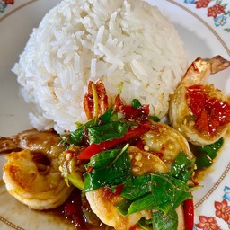 ข้าวราดกะเพรากุ้ง