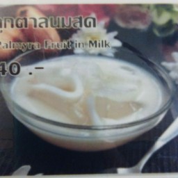 ลูกตาลนมสด