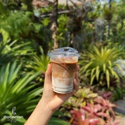 Iced Latté