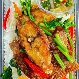 ข้าวปลานิลผัดขึ้นฉ่าย