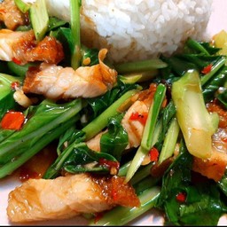 อาหารตามสั่ง (what to eat ) กินไรดี (ใช้โค้ดได้มาสั่งดิ)