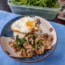 ข้าวกระเพราหมูชิ้น+ไข่ดาว