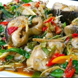 ผัดกระเพราปลาดุก กับข้าว