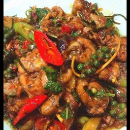 กับข้าว ผัดเผ็ดปลาไหล